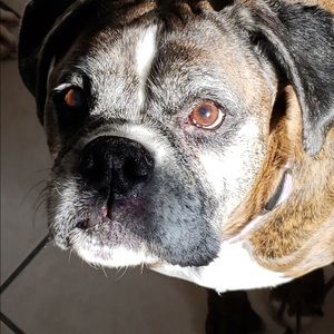 Meet your Posher, Ben